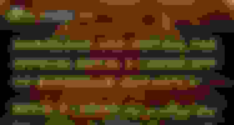 bg-0